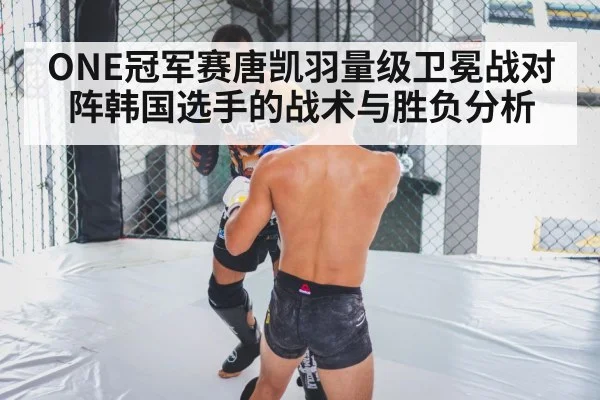 MMA cage fight(kaiyun)