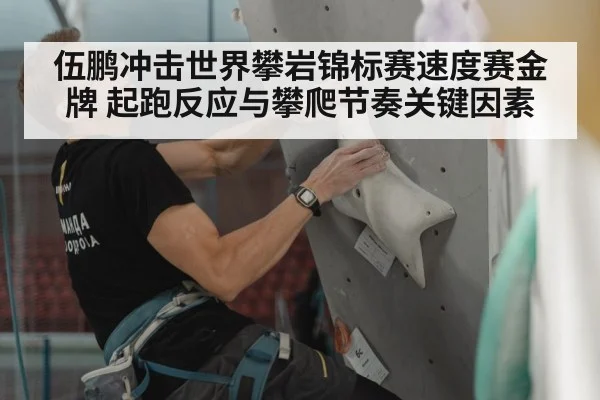 speed climbing wall（kaiyun）