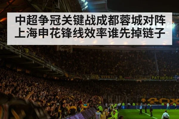 football stadium crowd atmosphere（kaiyun）